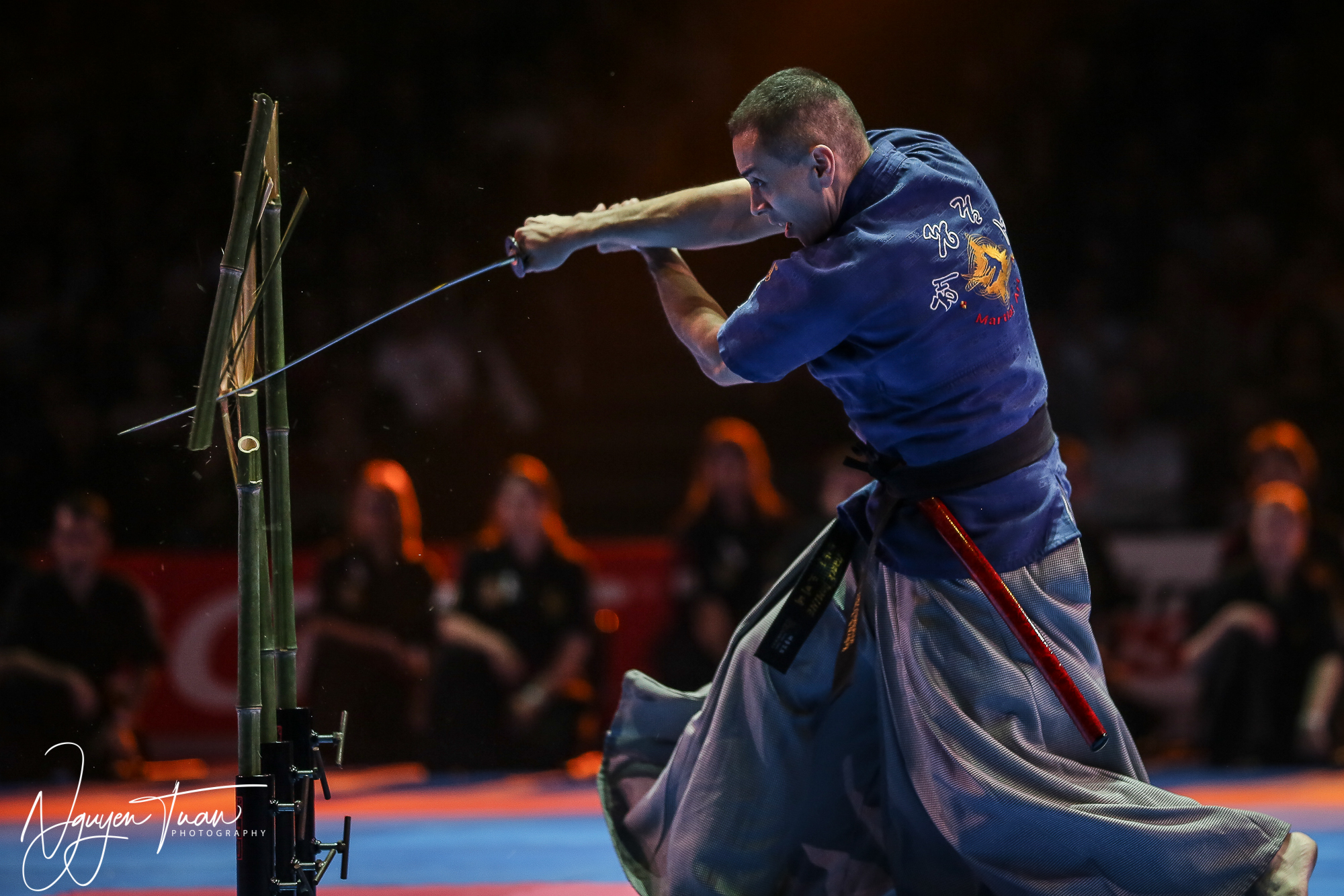 20190324 Festival des Arts Martiaux 3551